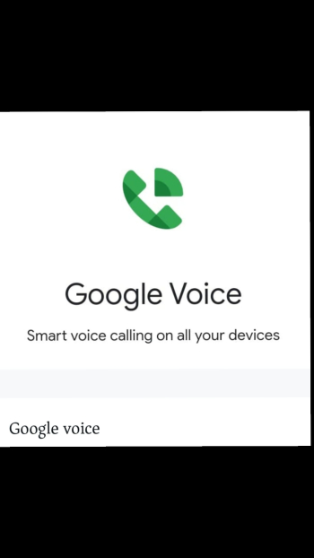 Google Voice 