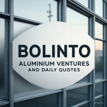 BOLINTO VENTURES 